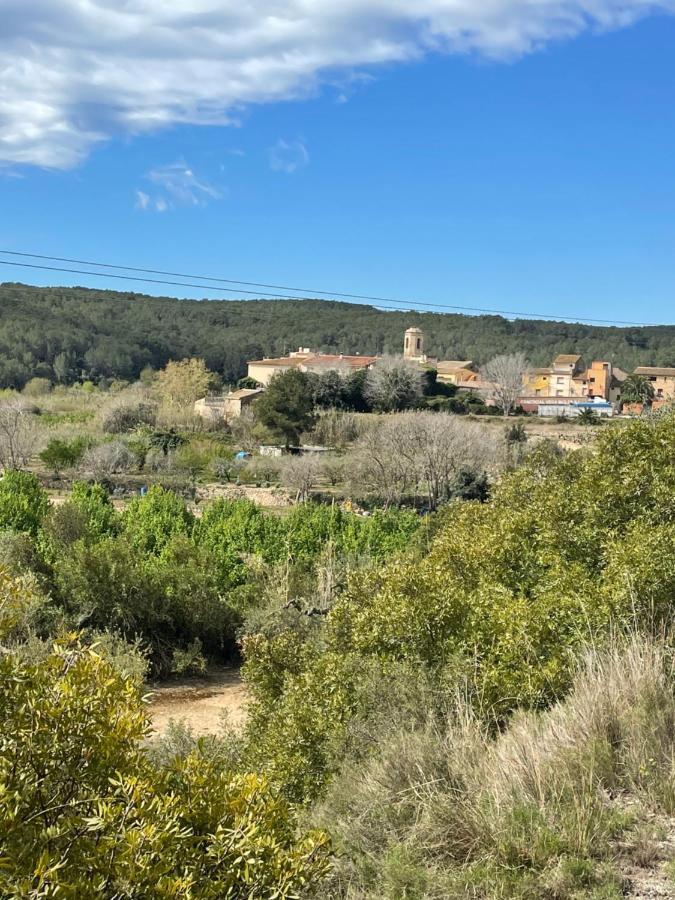 Casa de pueblo de 4 habitaciones con jardín a 10minutos de la playa en coche Taronja&Canyella Ardenya Exterior foto